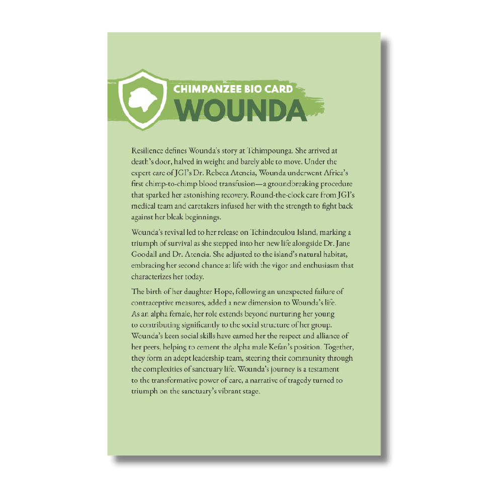 Become a Chimp Guardian for Wounda - #Wounda | the Jane Goodall